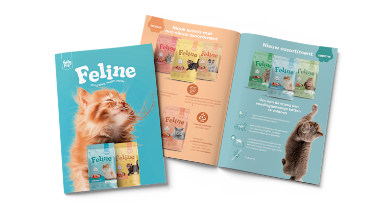 Ontdek wat Feline voor jou kan betekenen!