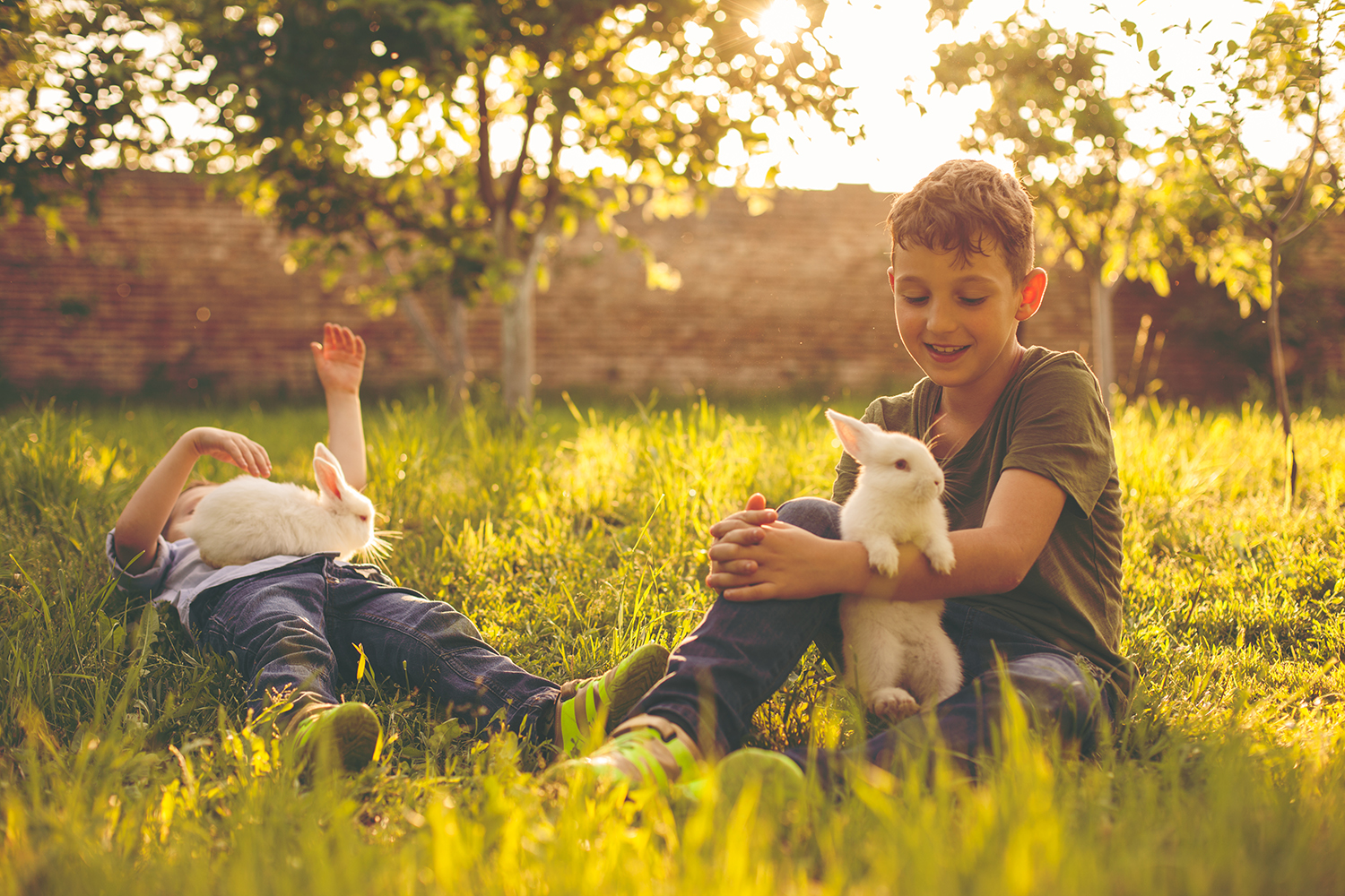 Propriétaire et son lapin – Aveve