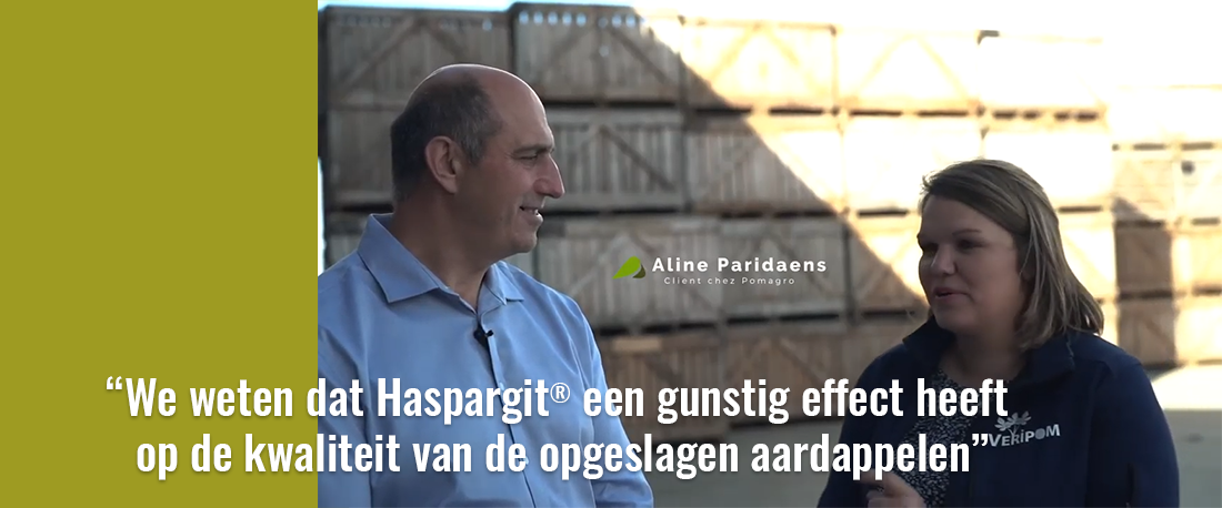 Veripom - Pomagro - haspargit- aardappelen - rendement