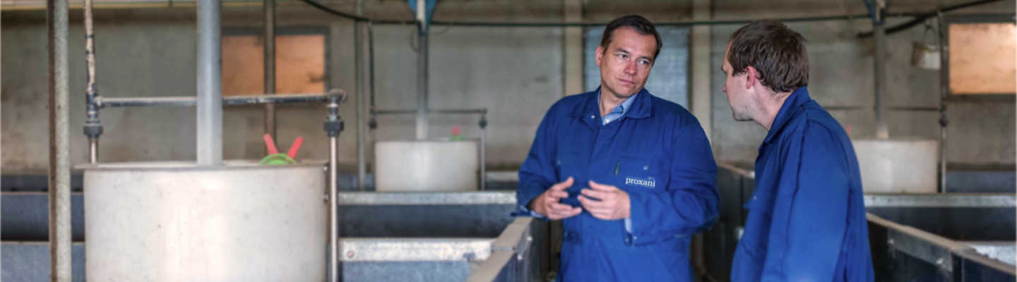 twee mannen bespreken varkensvoeding