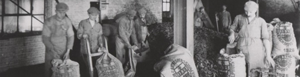 Aveve Historie 1 968x250px