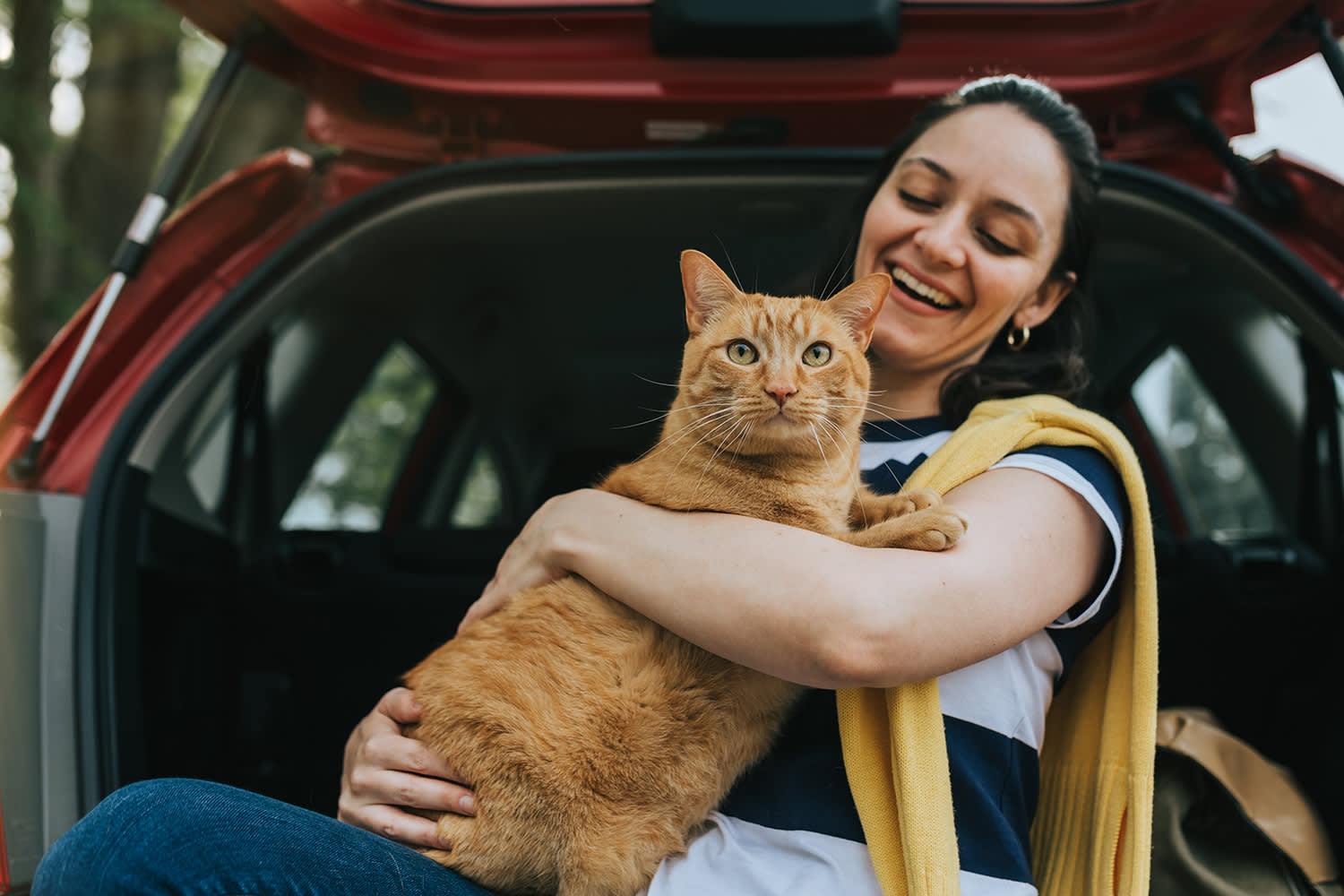 Chat en voiture – Aveve