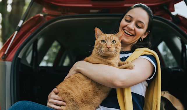 Alles wat je moet weten als je je kat wil meenemen op reis - Aveve