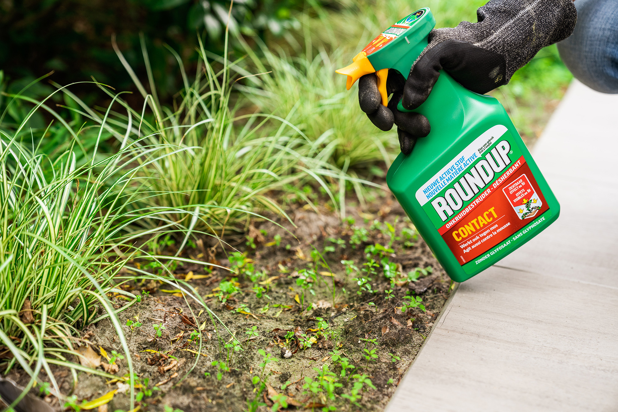 Roundup onkruidbestrijding - Aveve