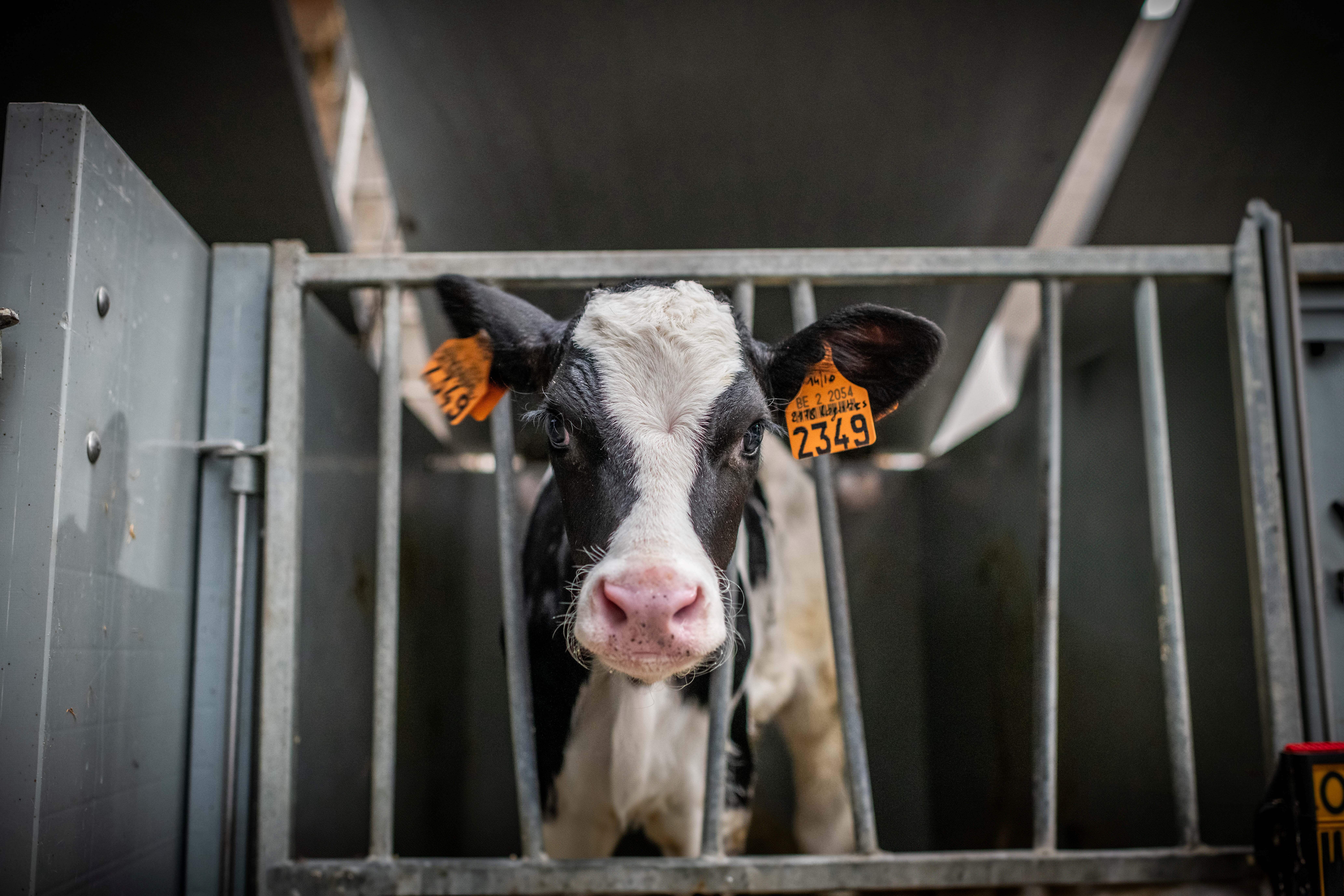 30.07.2025_Nieuwsbrief_AN_vlog