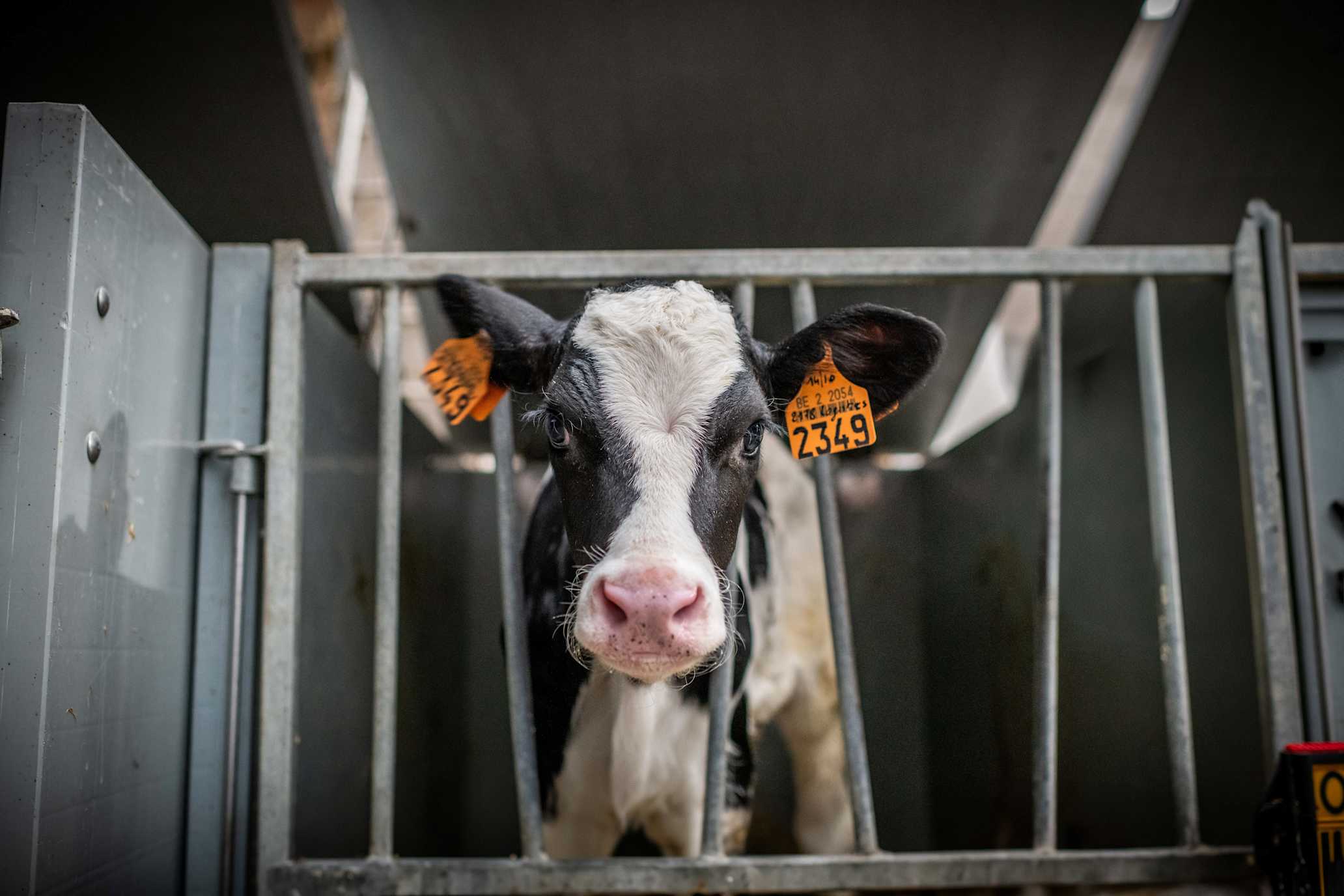 30.07.2025_Nieuwsbrief_AN_vlog