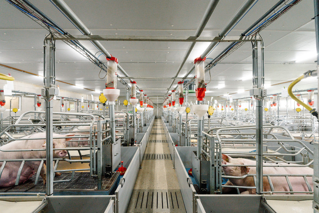 Conseils pratiques pour la période hivernale