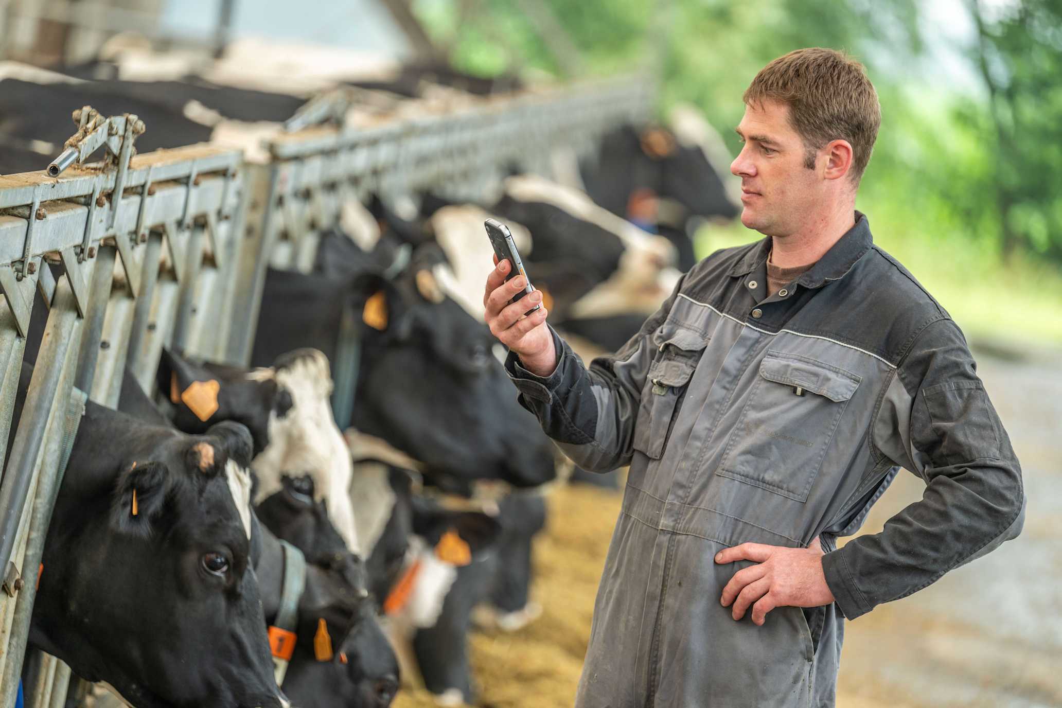 9.07.2025_Nieuwsbrief_AN_Link2Farm