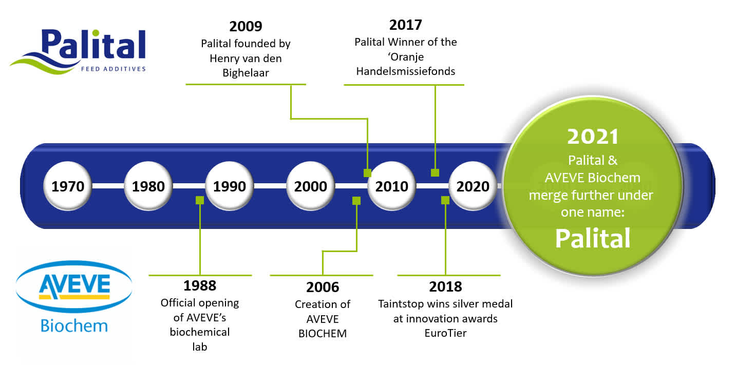 History overview