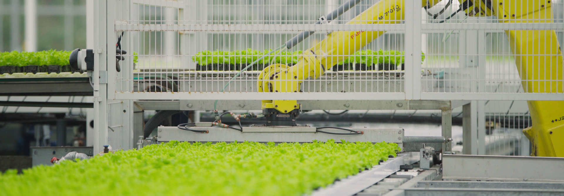 Techniques d'horticulture