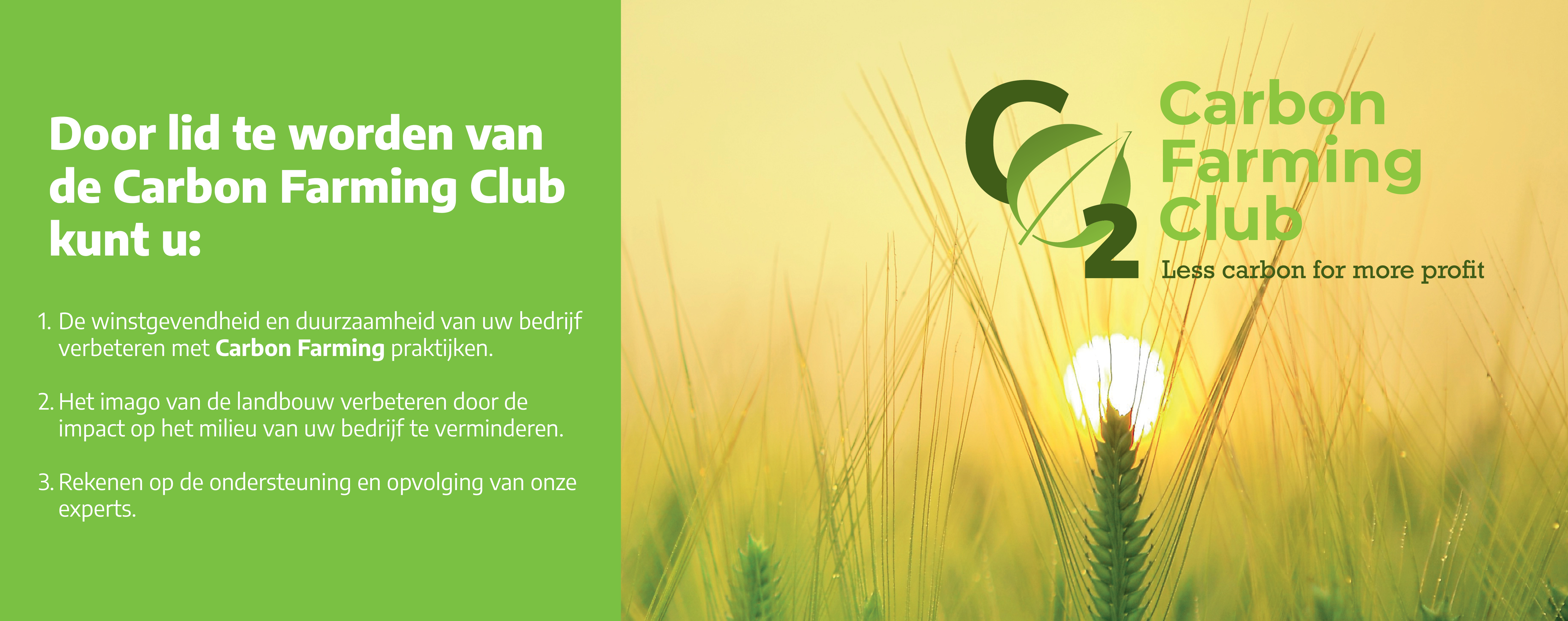 CFC lead gen campagne 01/24