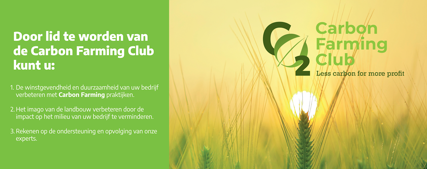 CFC lead gen campagne 01/24