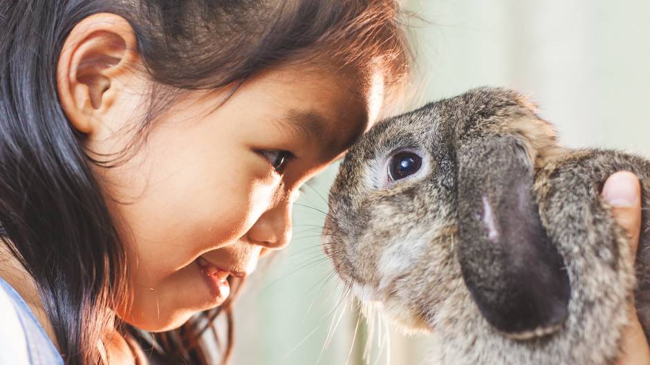 Propriétaire et lapin – Aveve