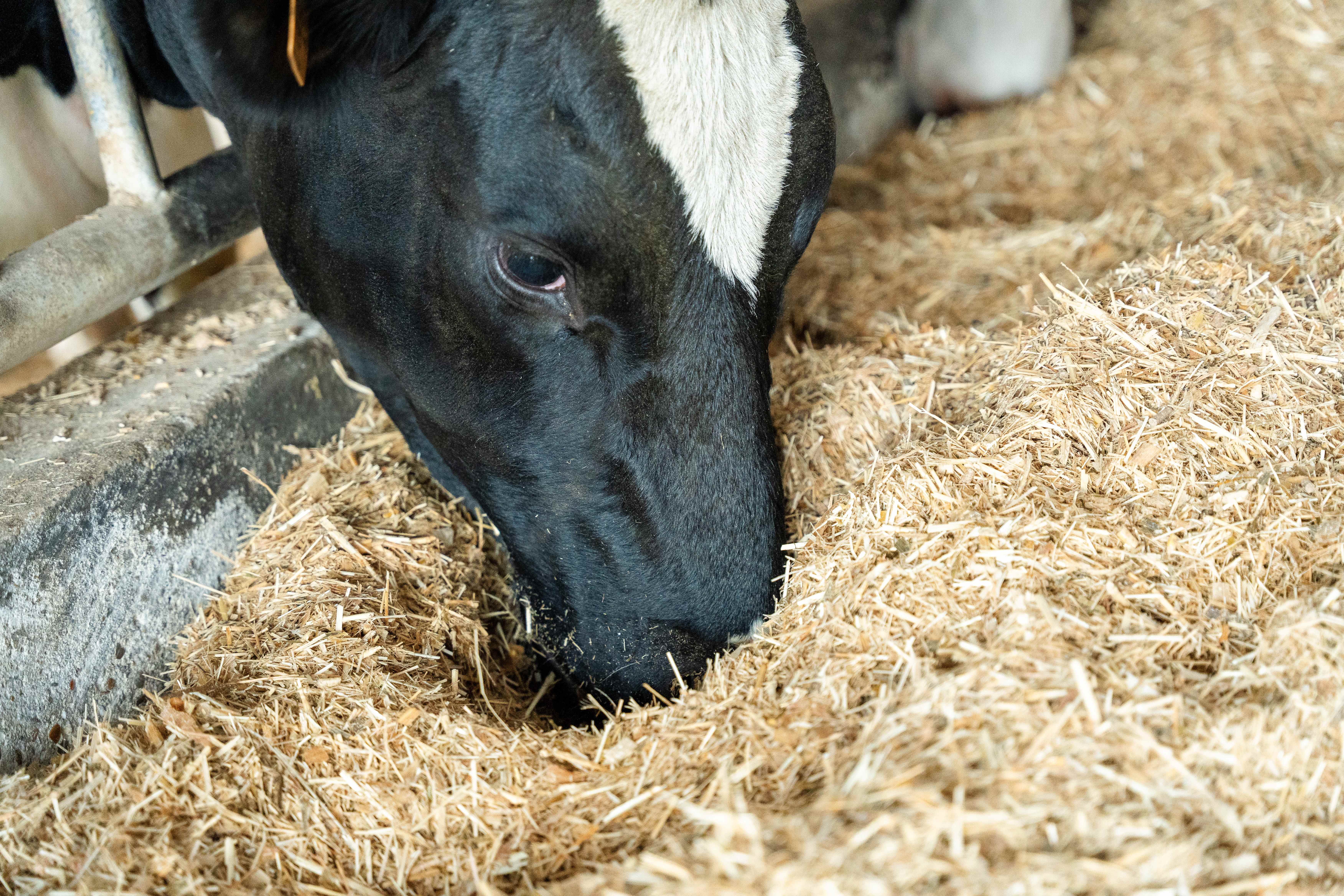 01.09.2025_NIeuwsbrief_AN_Gamme ProDry