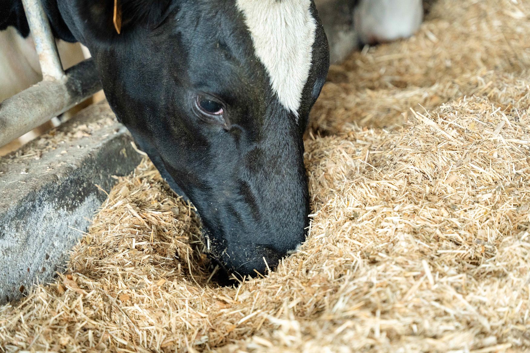 01.09.2025_NIeuwsbrief_AN_Gamme ProDry