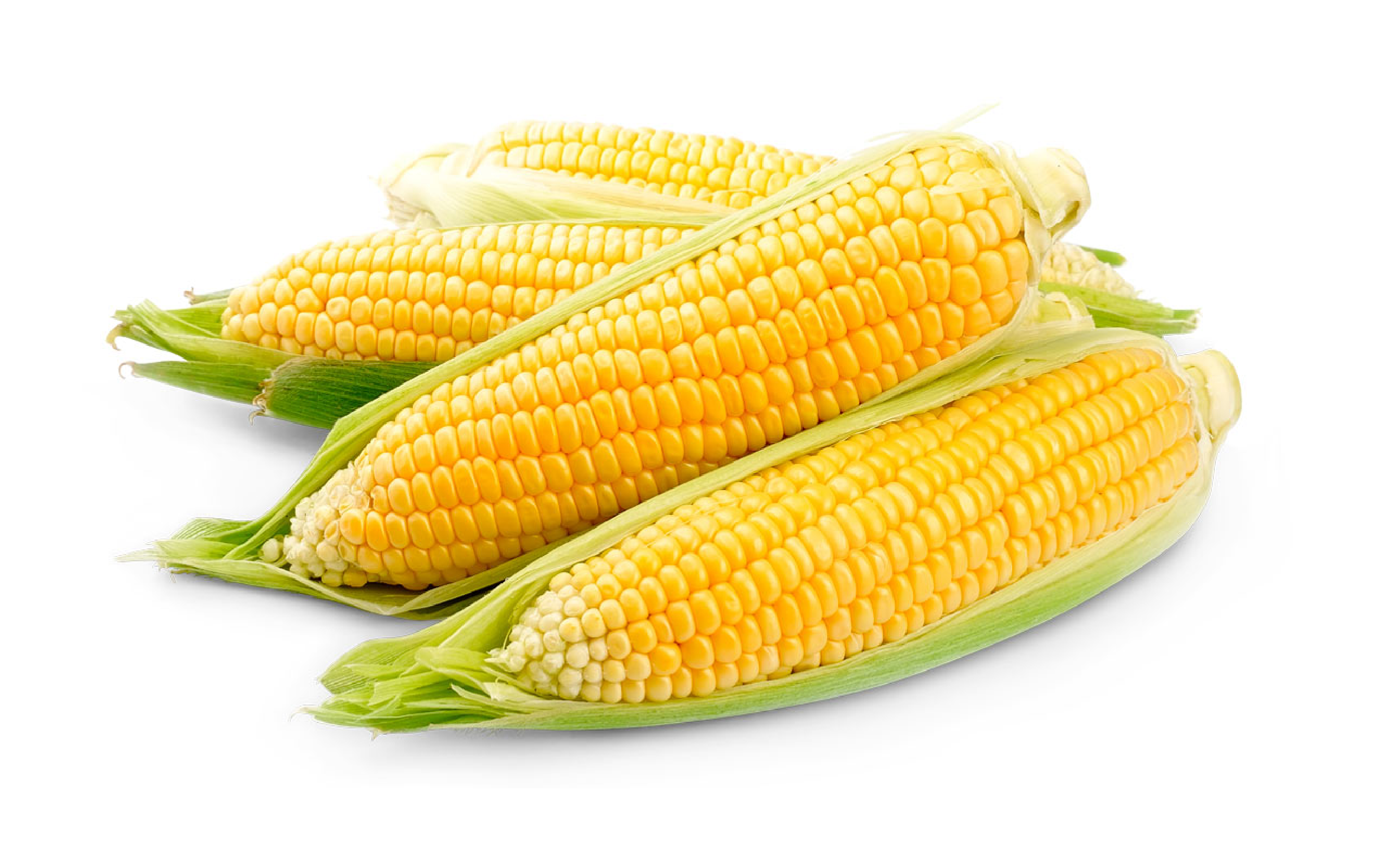 De beste Franse cribs-maïs.