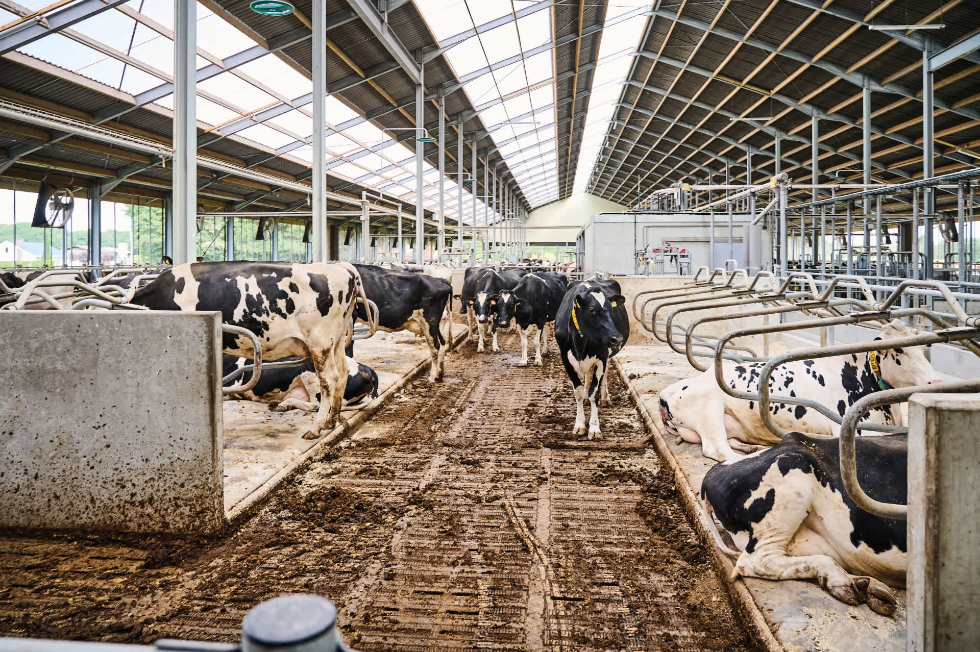 15.12.25_Nieuwsbrief_AH_Eminex®: duurzame innovatie voor efficiënte mestverwerking