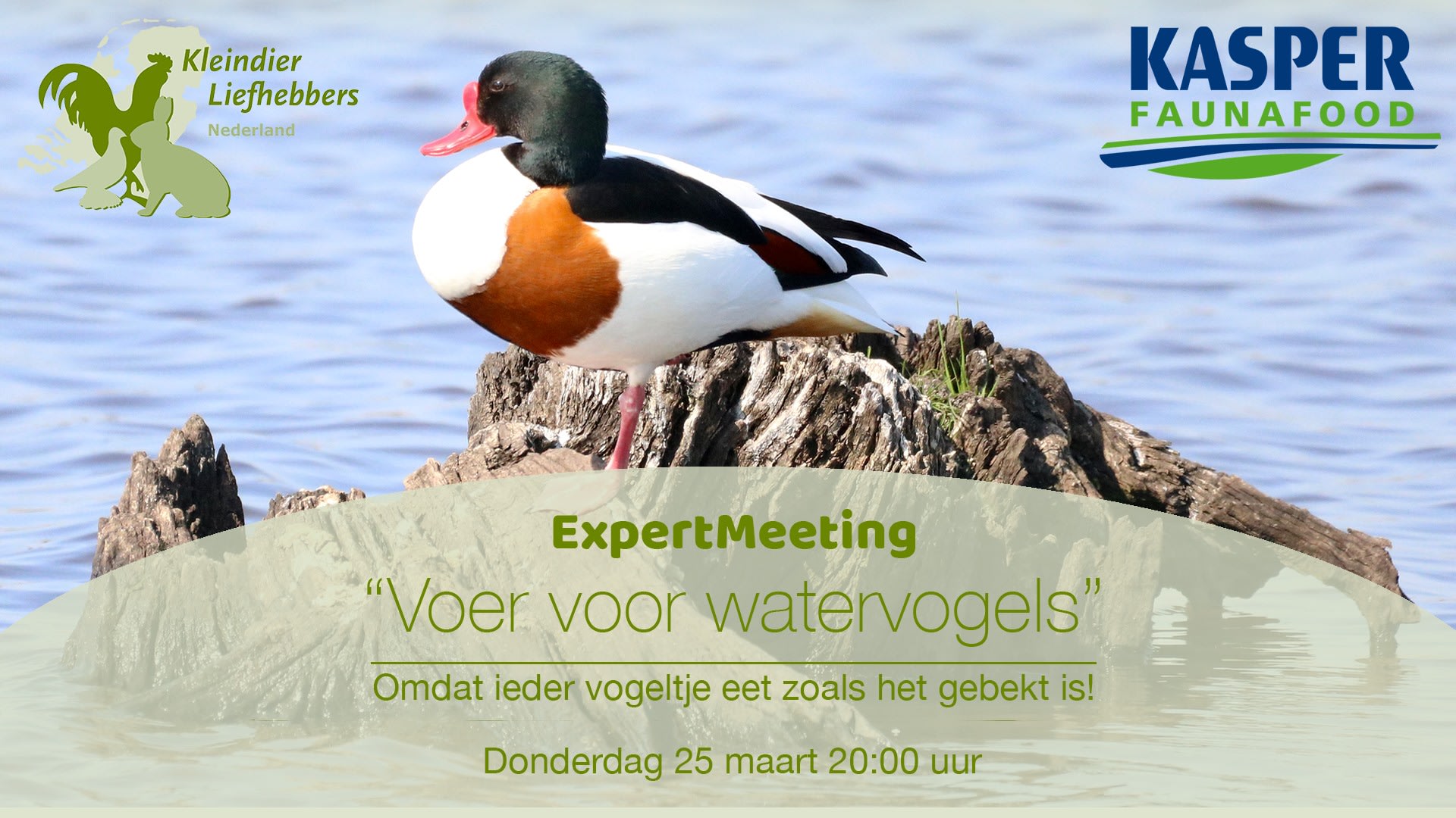 Filmpje webinar Expert Meeting "voer voor watervogels"