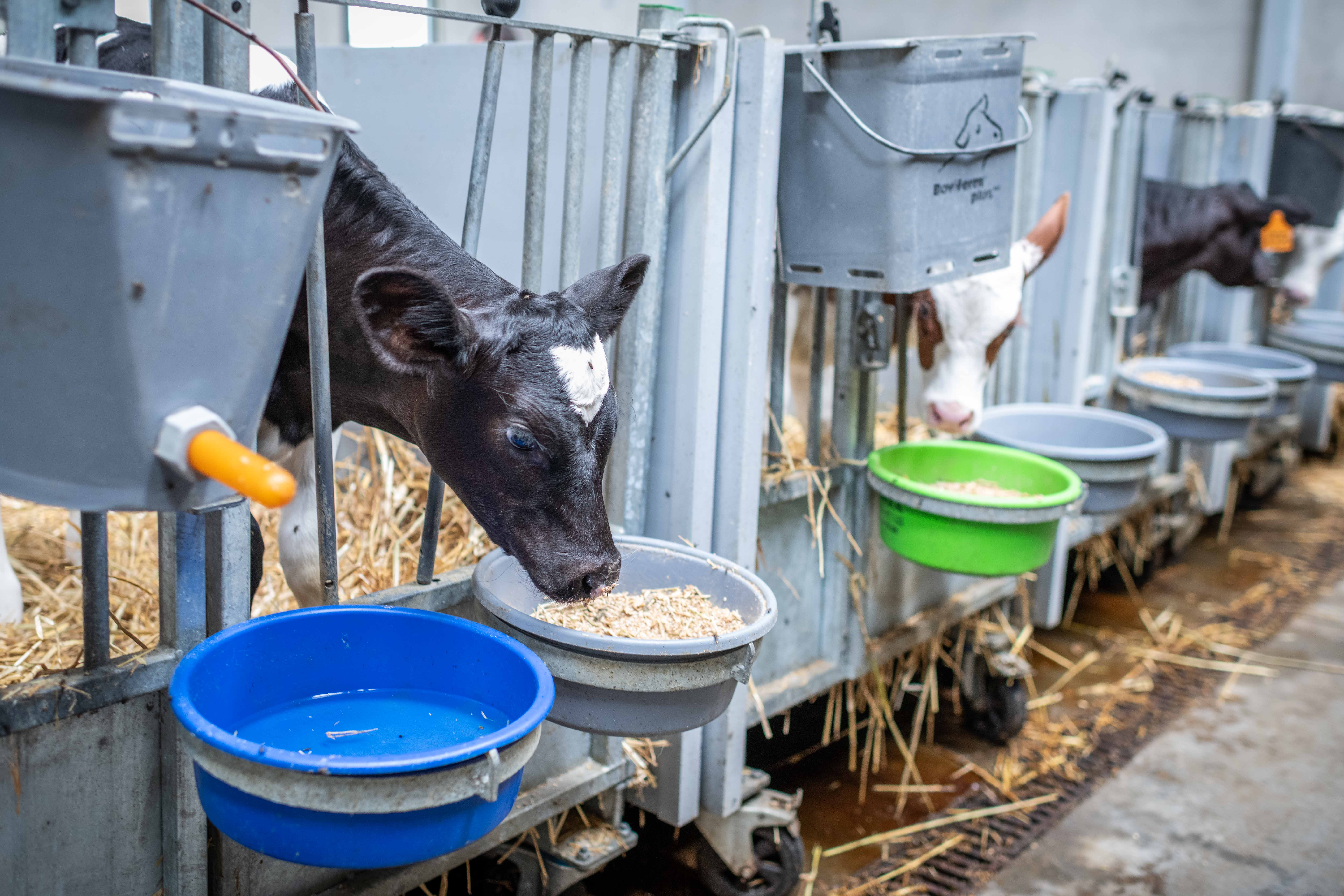 ProStart hero banner