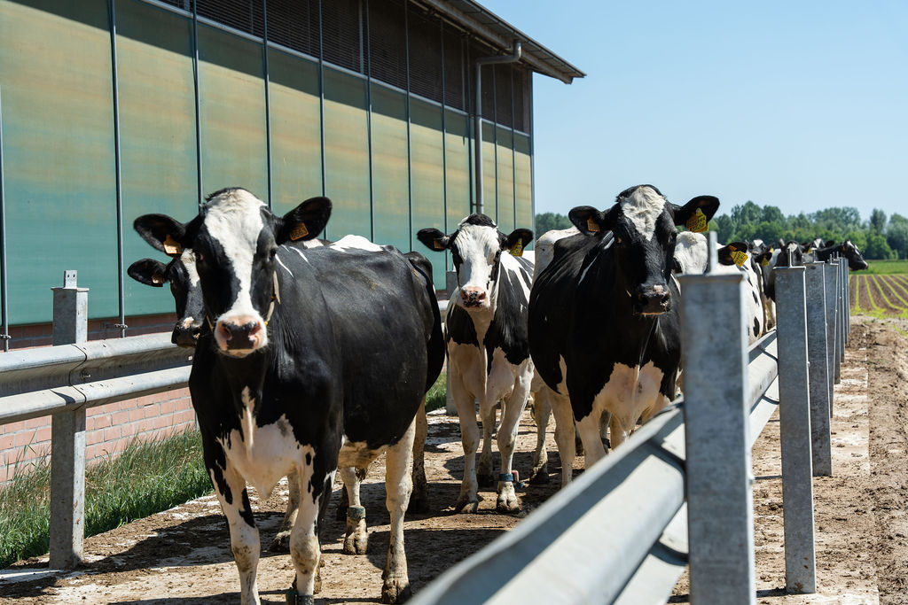 24.04.2026_Nieuwsbrief_AN_Hittestress