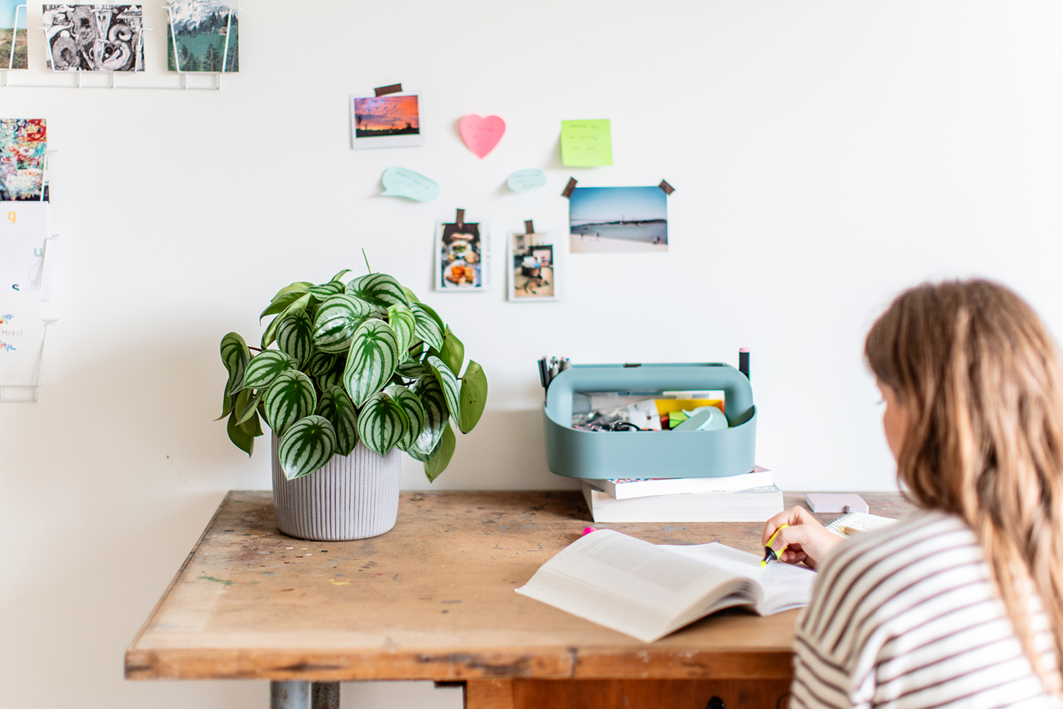 Une fille fait ses devoirs à une table en bois avec un pépéromia en guise de décoration - Aveve