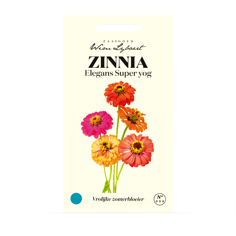 Zinnia Elegans Super Yog