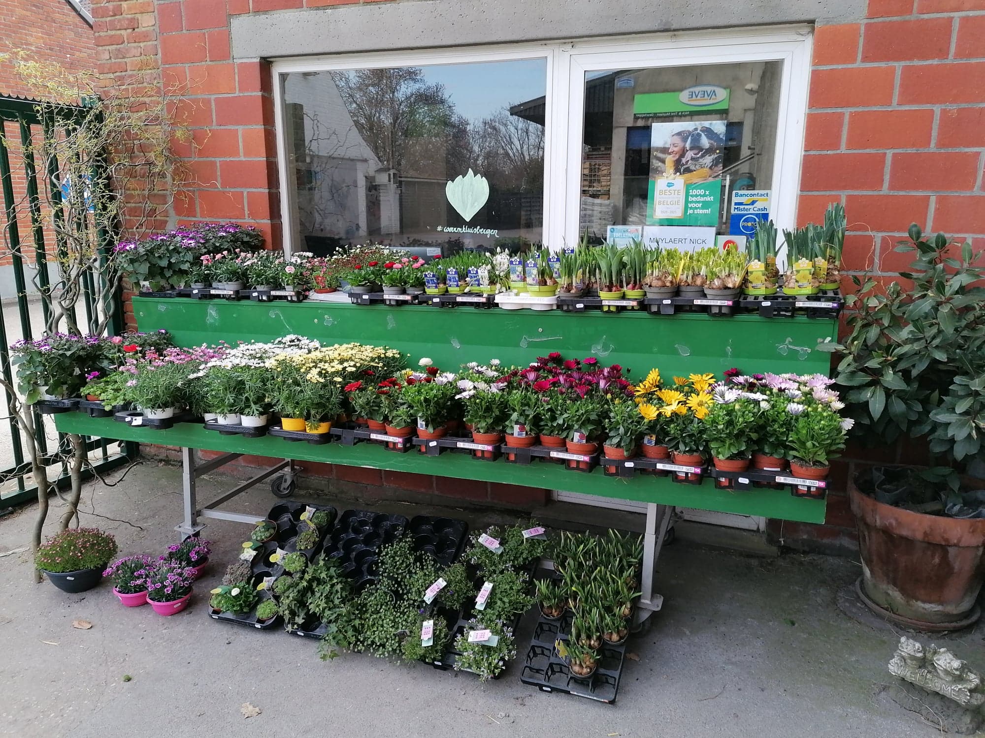 Aveve_winkel_Kluisbergen_outdoor1