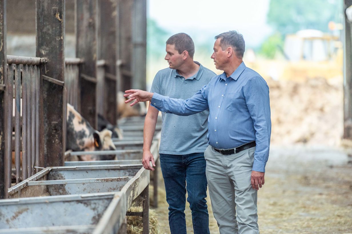 mannen voeren conversatie in de stal