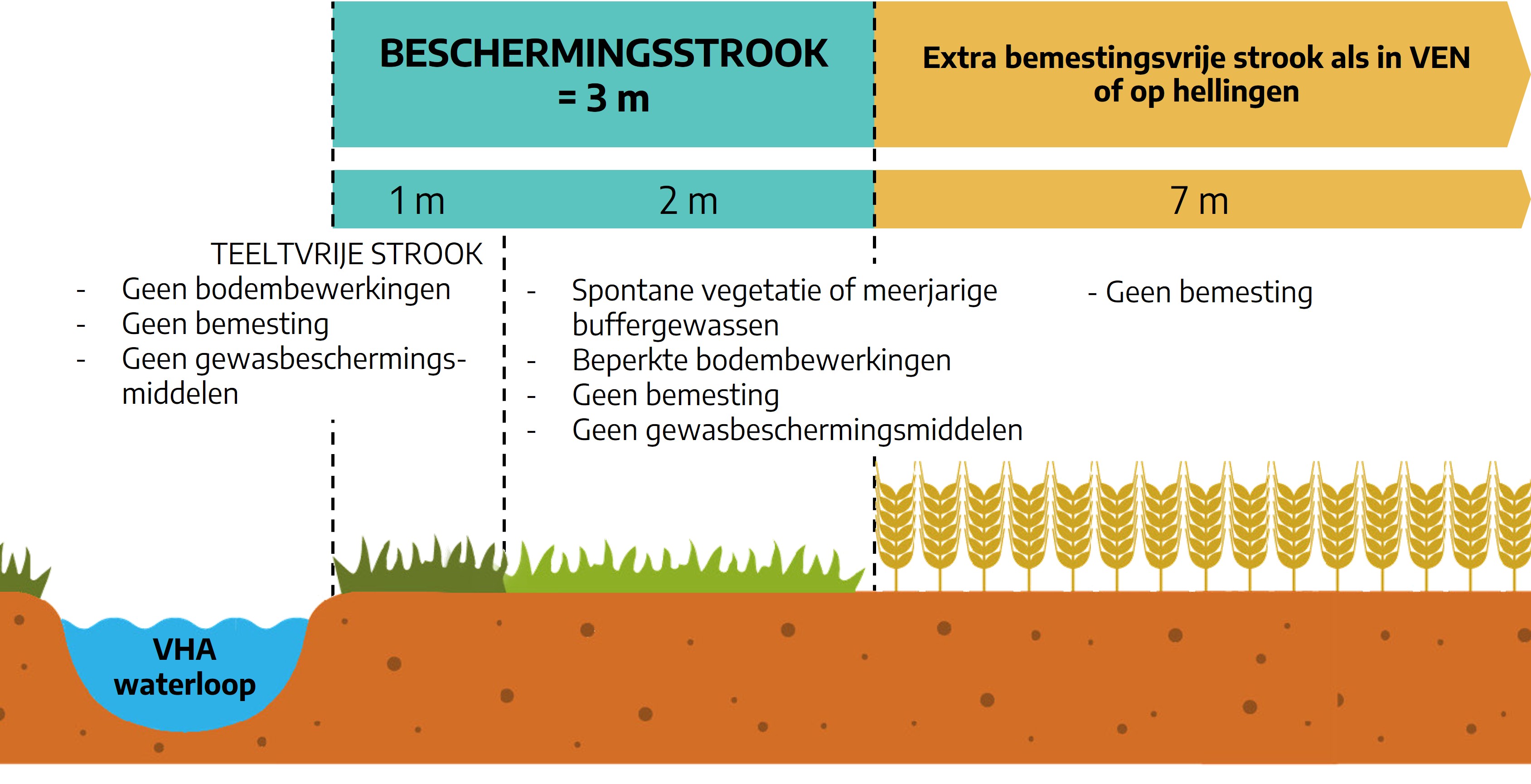 25.02.2026_Nieuwsbrief AH_Beheer van jouw beschermingsstrook RTS1