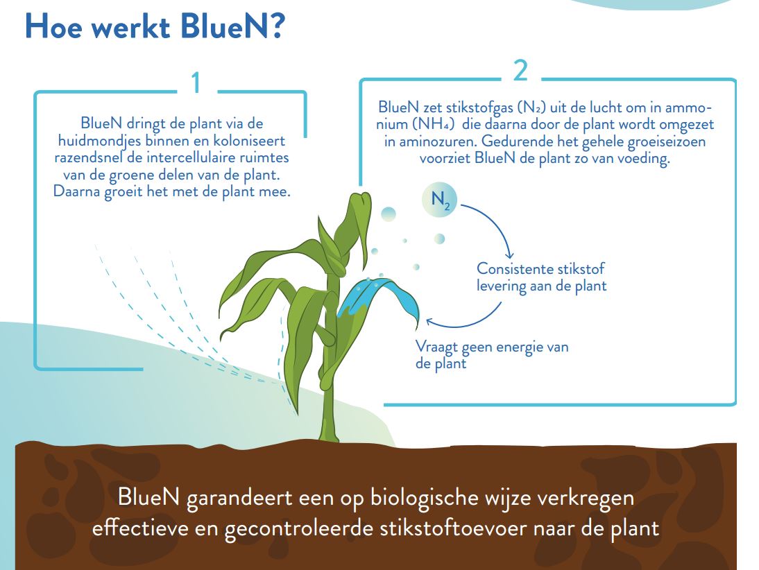 Werking BlueN