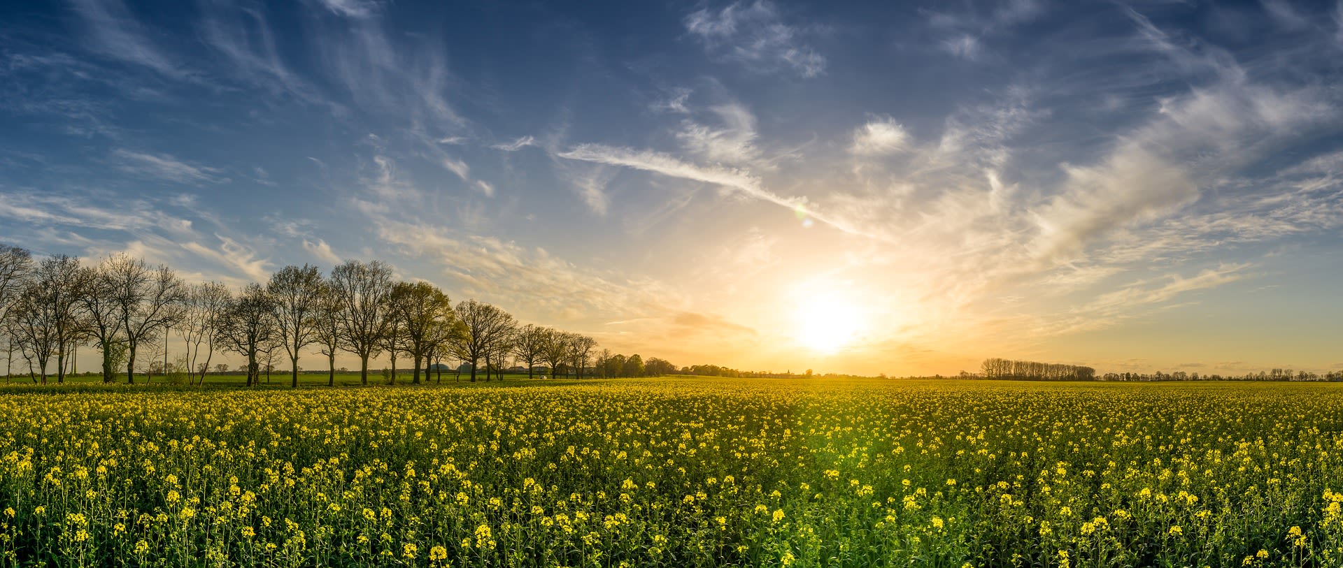 De toekomst van land-en tuinbouw begint vandaag