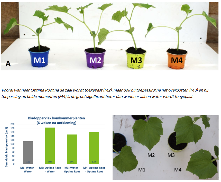 Optima Root: voor een sterker wortelgestel RTS2