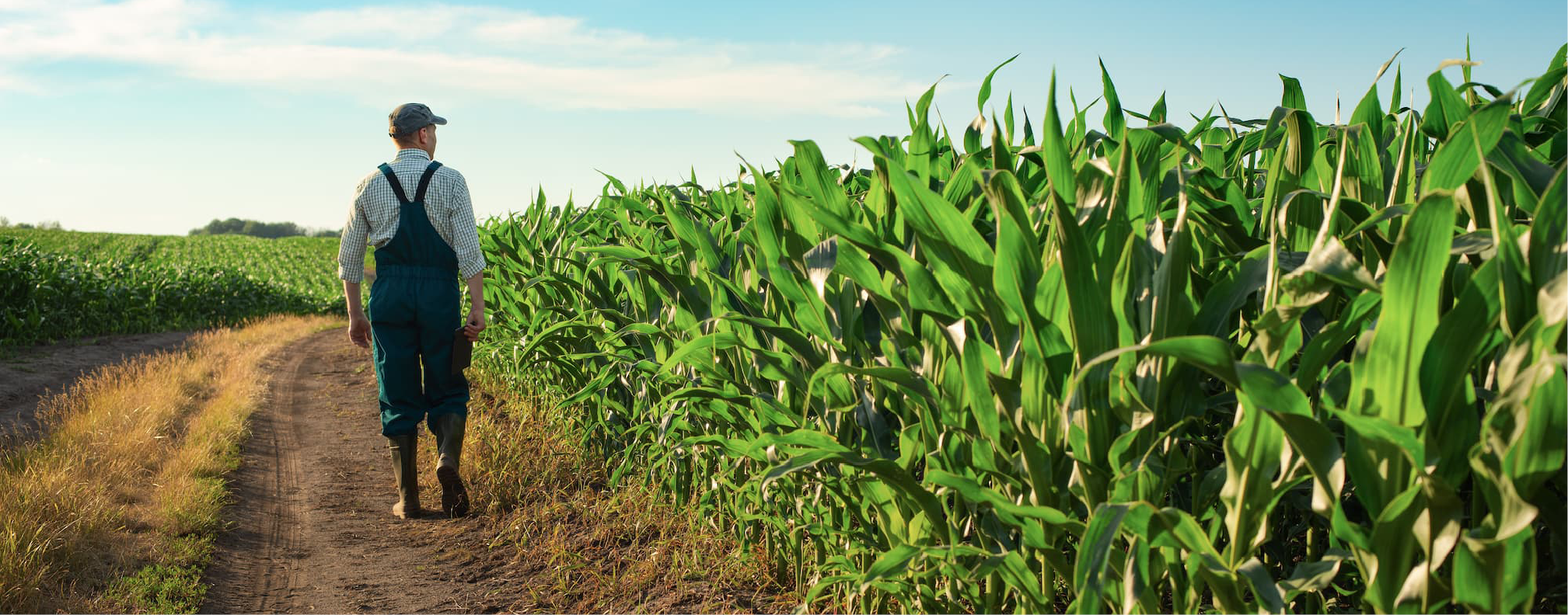 Sanac Mission & vision 968x380px