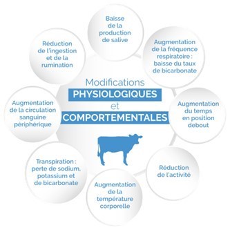 30.04.2025_AN_Nieuwsbrief_Stress thermique 2