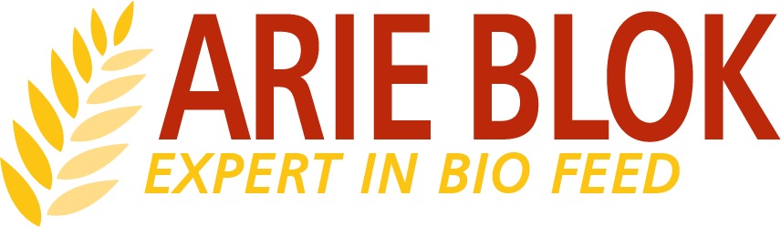Arie Blok Bio