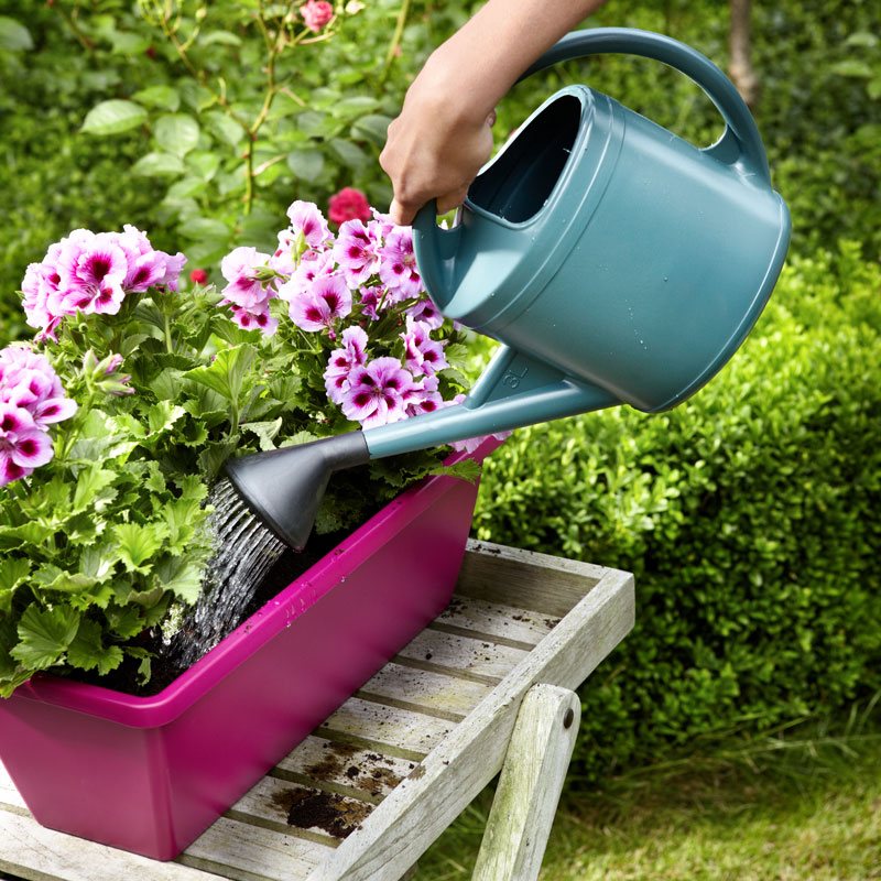 bar Verlichten Geroosterd Zes manieren om veel bloemen in je tuin te planten