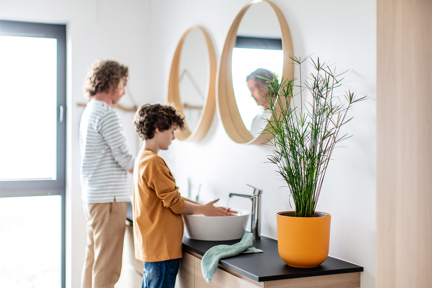 Afbeelding van een parapluplant in de badkamer - Aveve