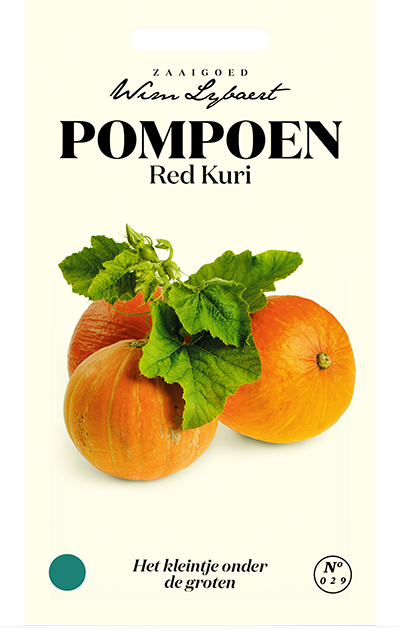 Pompoen Red Kuri