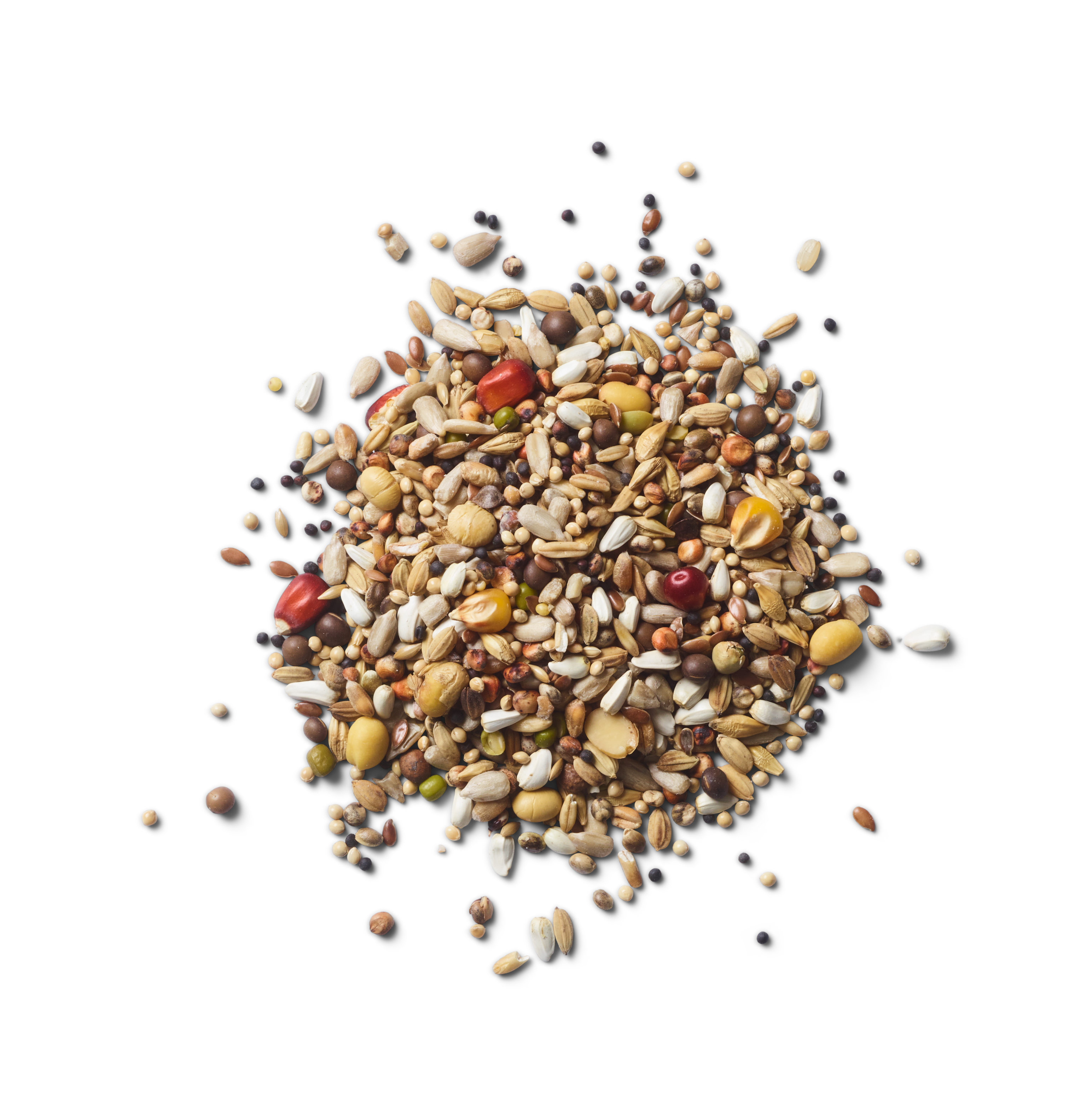 Green Power Max Foodshot