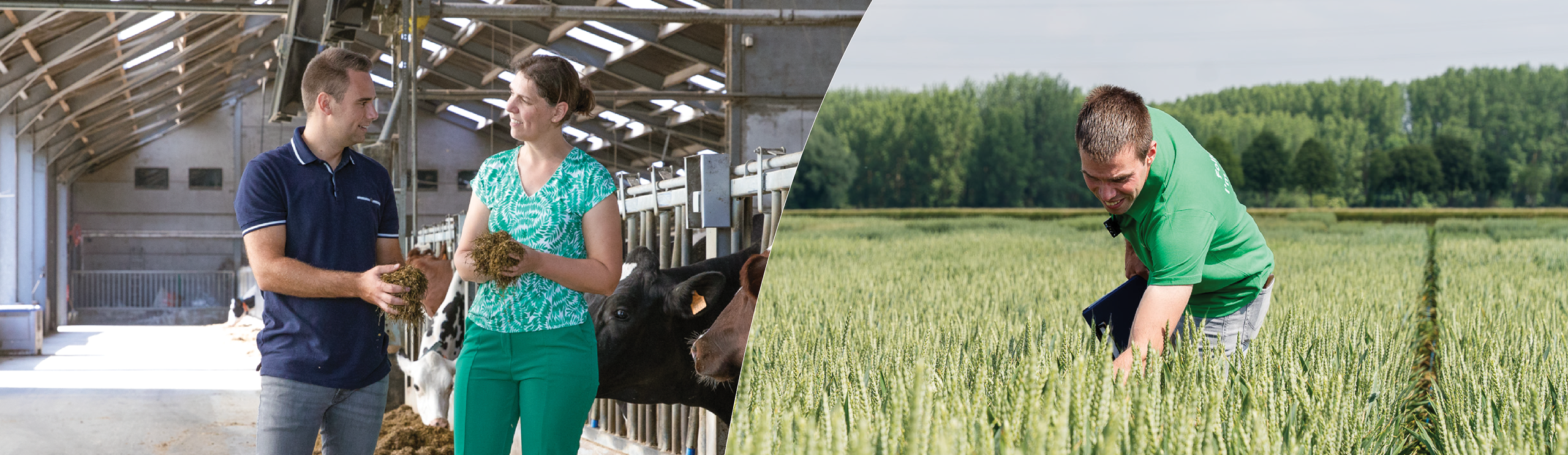 Banner Aveve Agrarisch