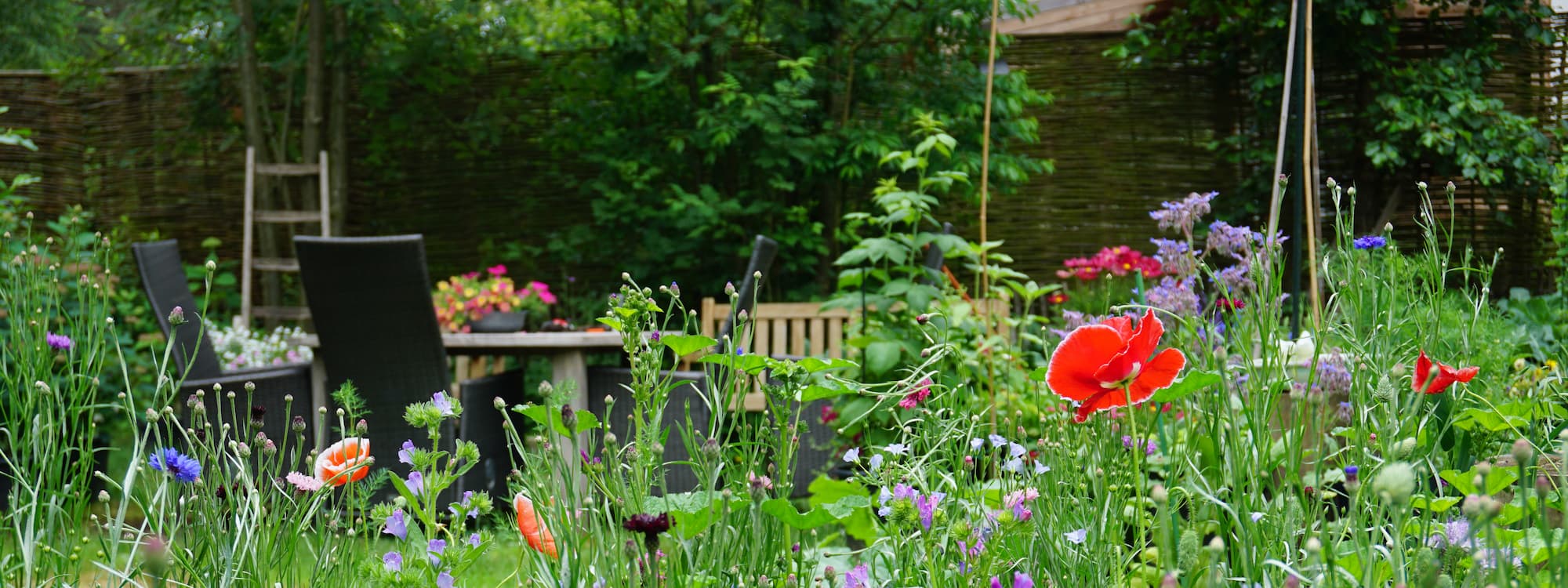 Siertuin met kleurrijke bloemen - Aveve