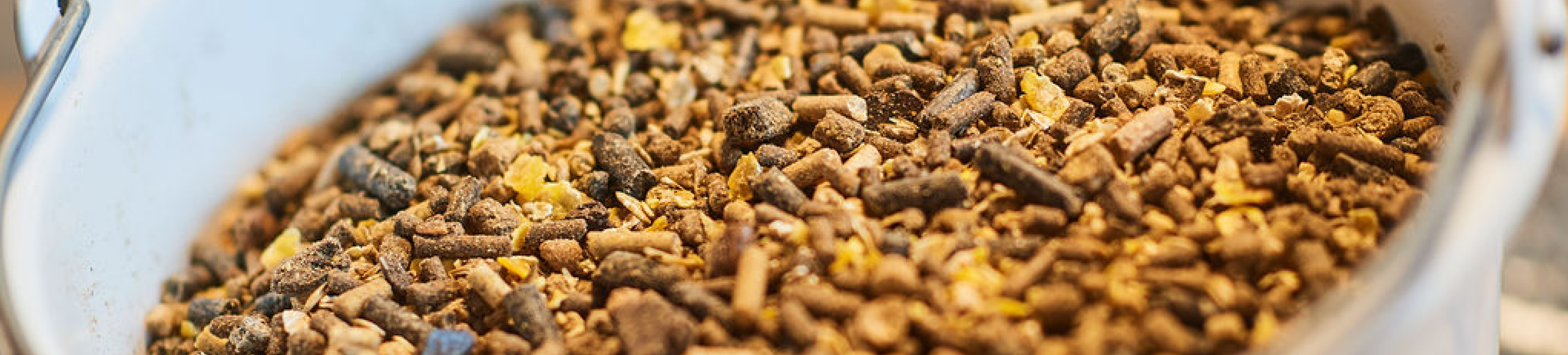 Vleesvee onze expertise 1920x435px