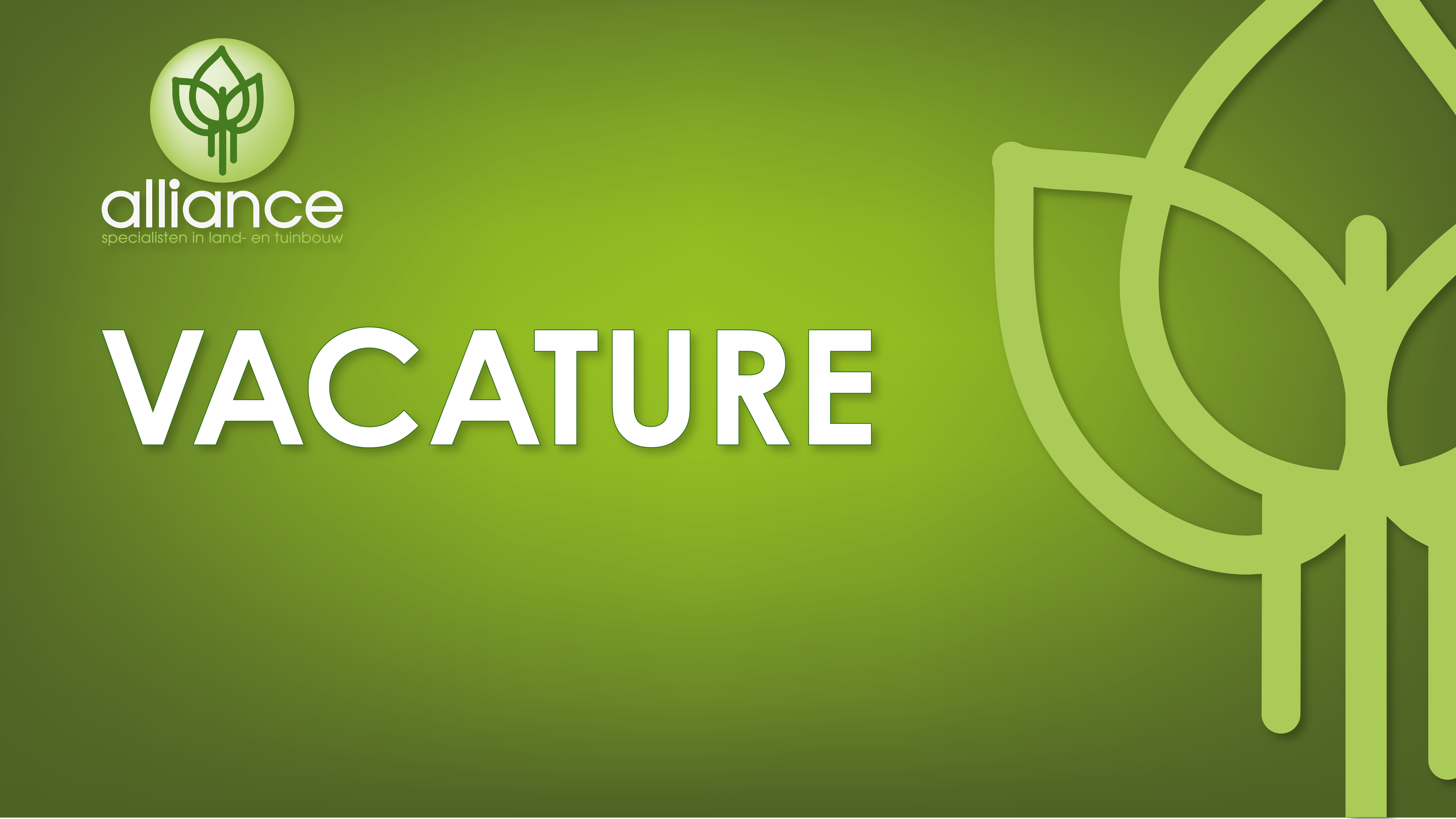 Vacatures Alliance