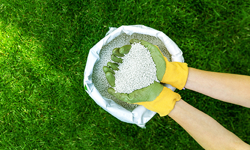 Groen gazon met schaduw - Aveve