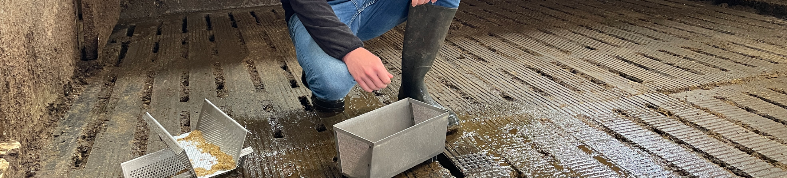 Mestzeven banner 1920x435px