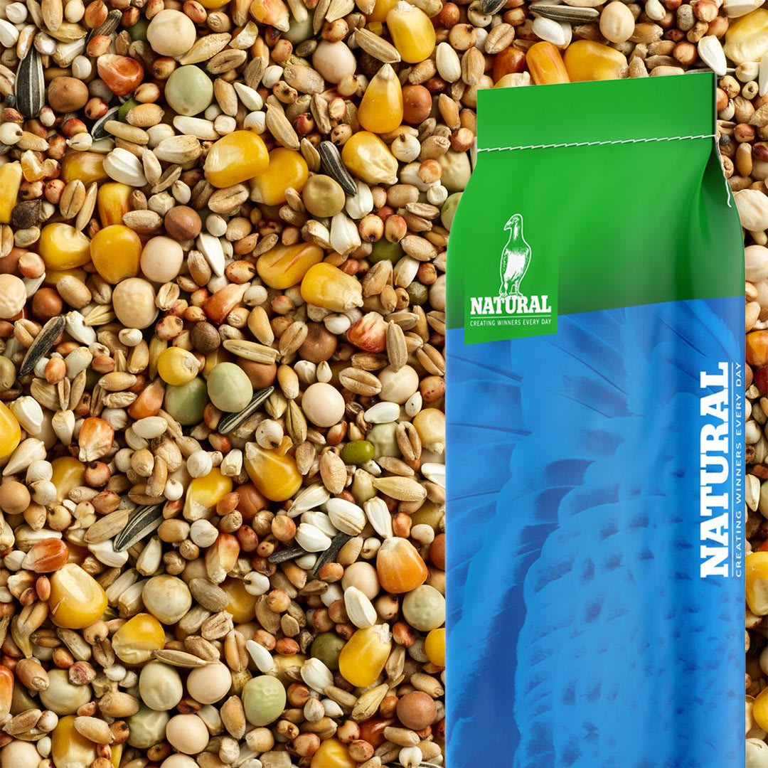 Image Natural select standard