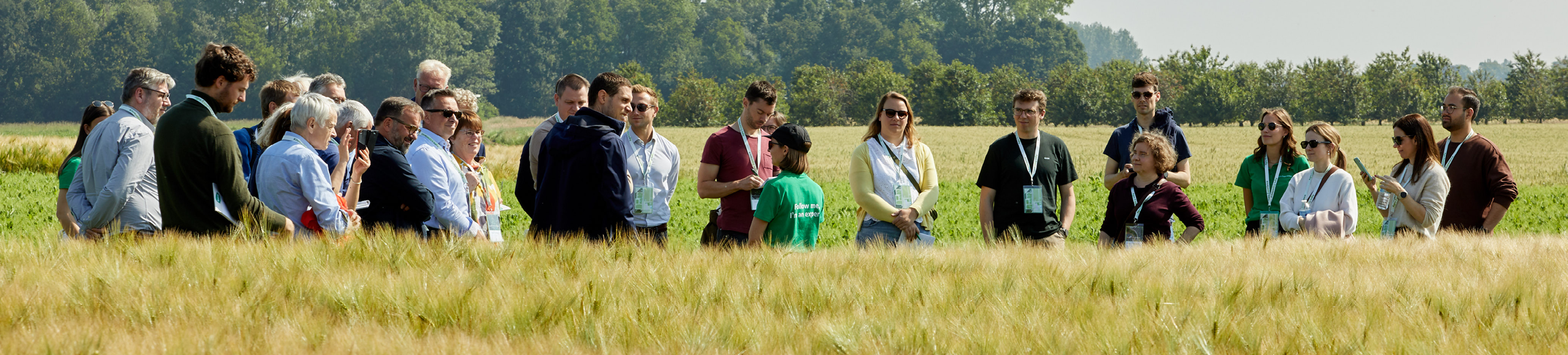 Evenementen banner 1920x435px