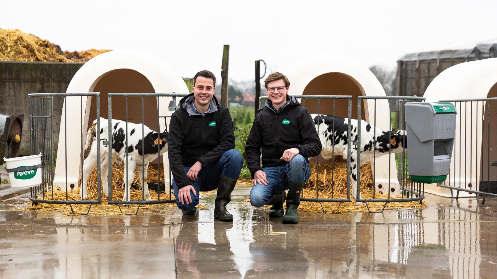 Jongvee audit 1280x720px