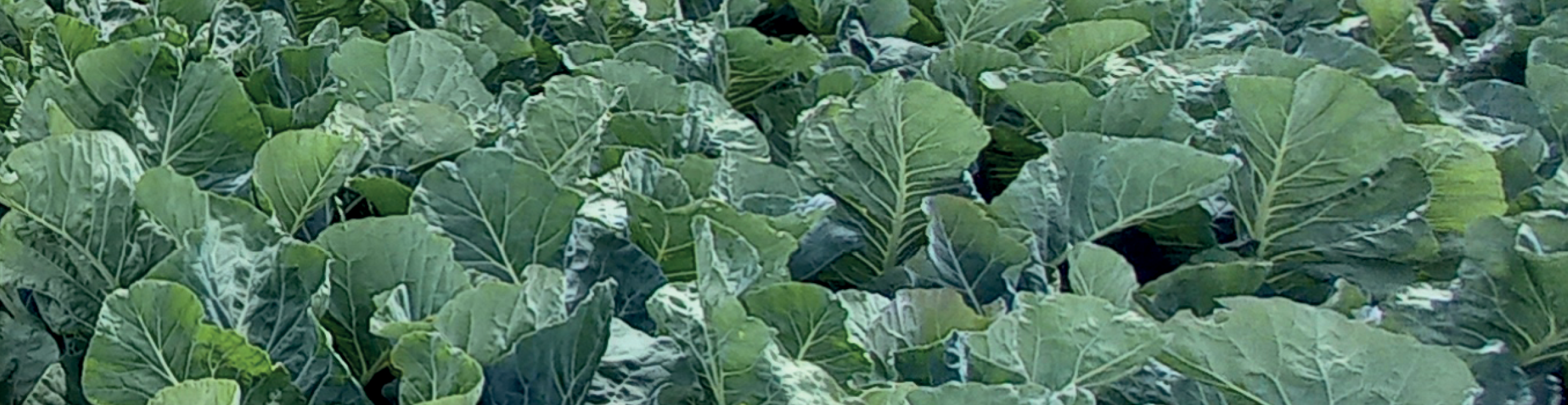 Verhoog de kwaliteit