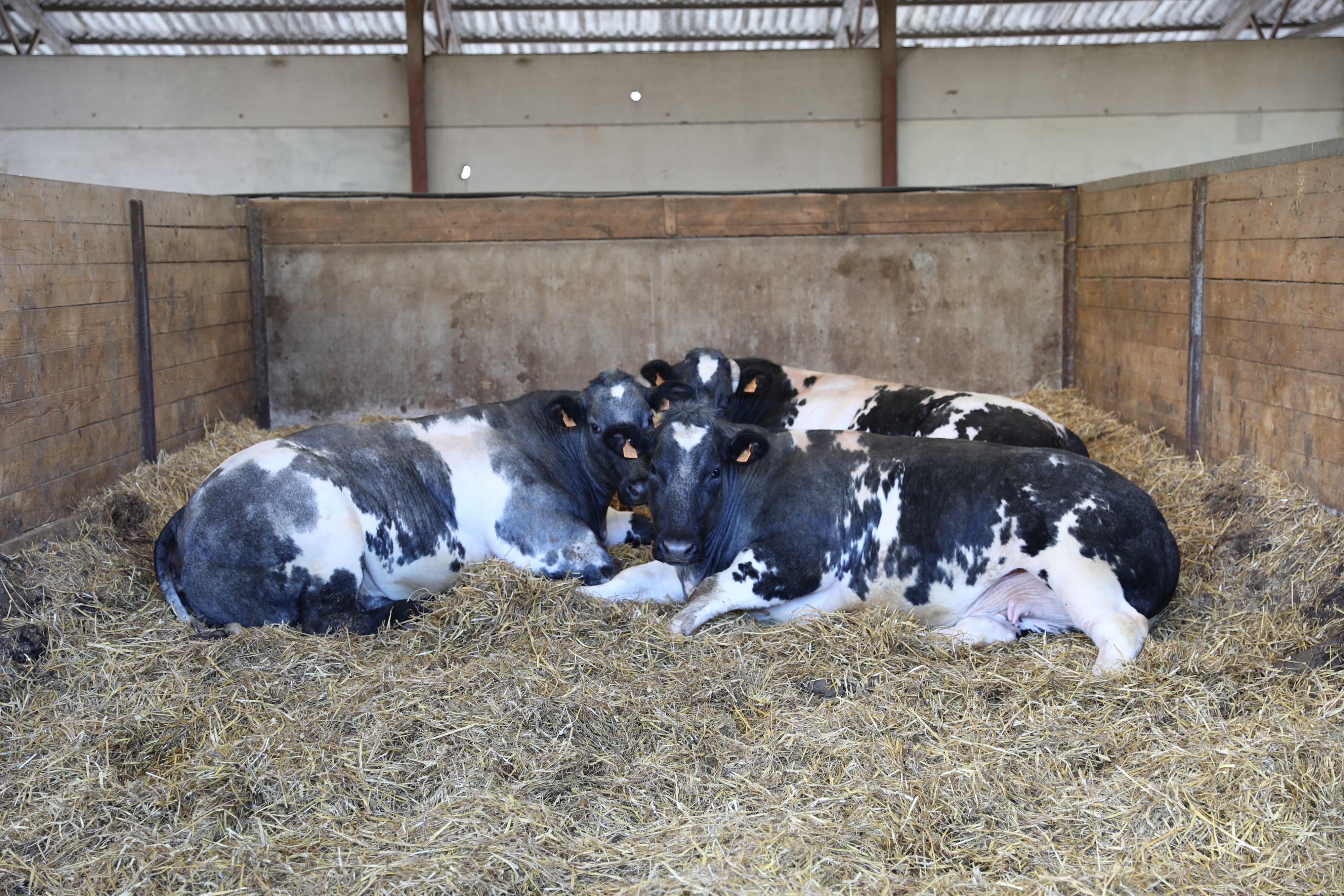 29.04.2025_Nieuwsbrief AN_afmest mei 2025